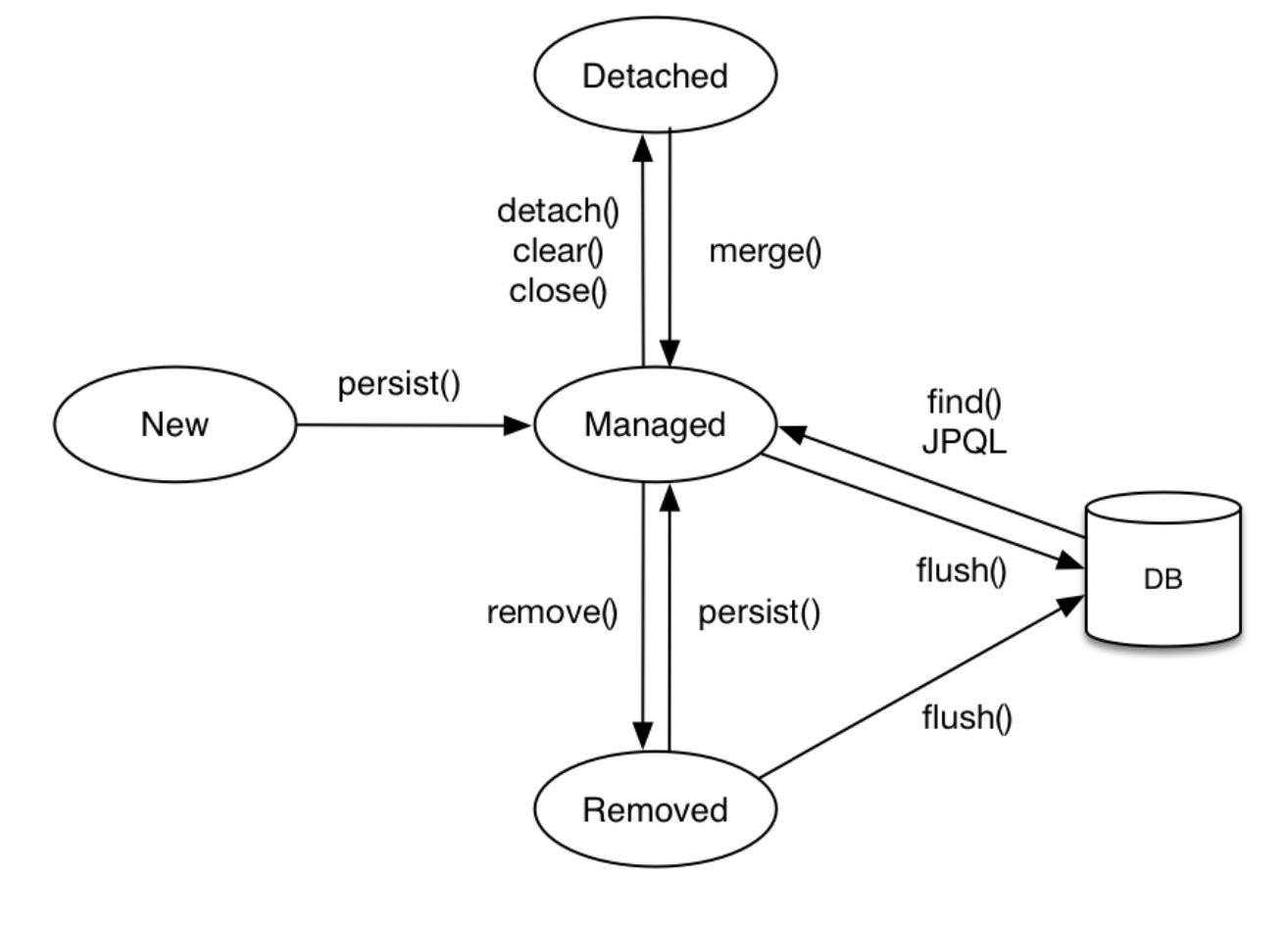 entityLifeCycle.png